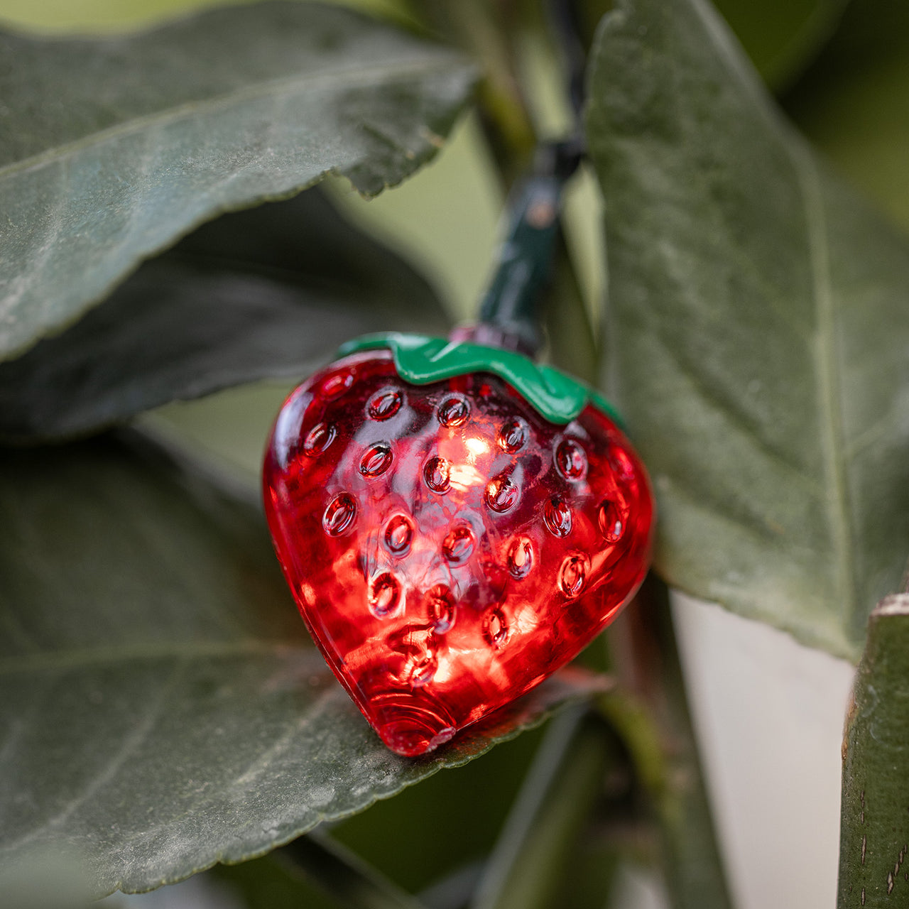 Guirlande Lumineuse Solaire à 20 Fraises LED