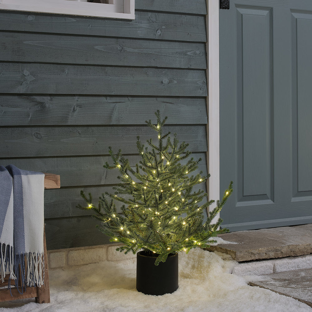 Sapin de Noël d’Extérieur Pré-éclairé en Pot, Feuillage Style Grandis, 60 cm
