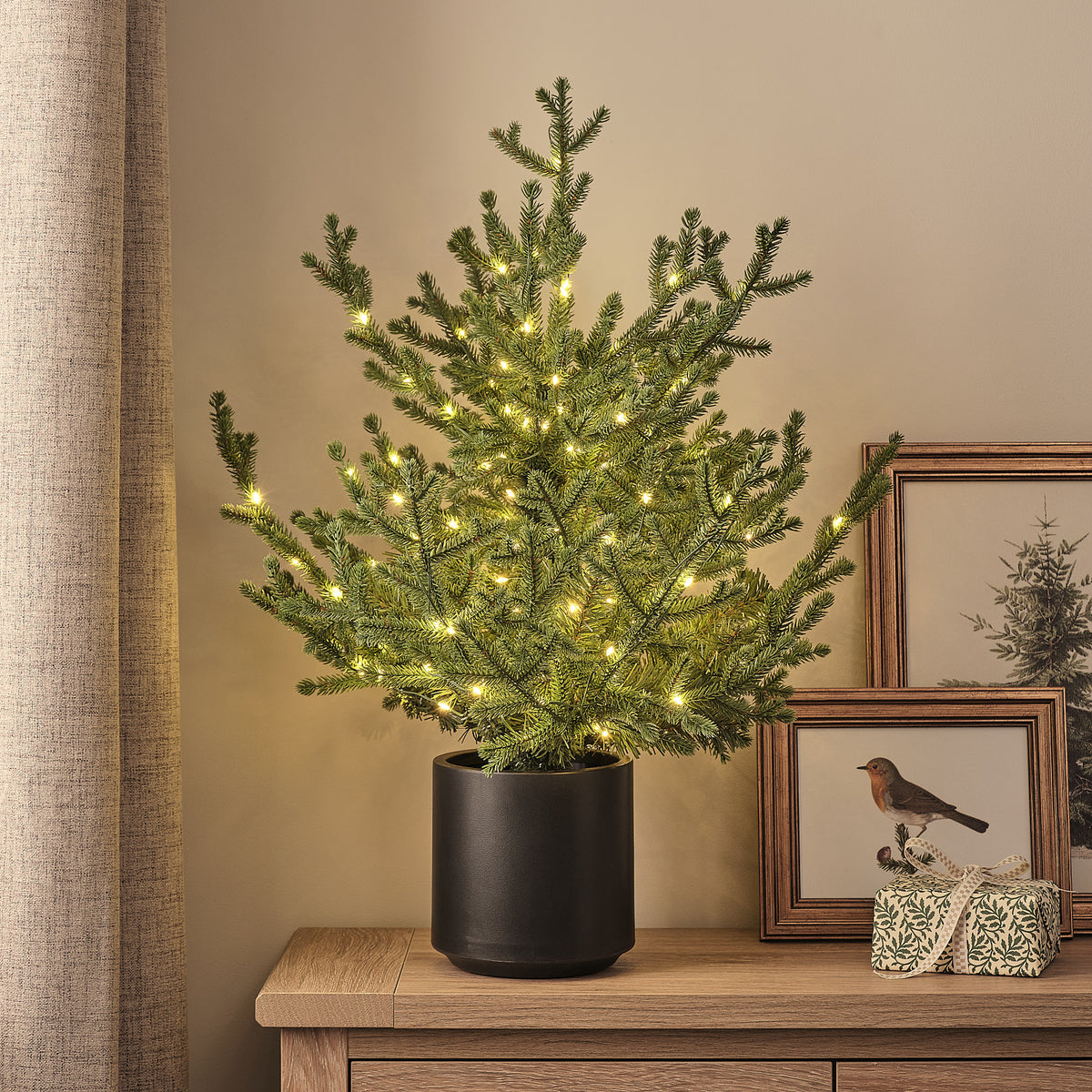 Sapin de Noël d’Extérieur Pré-éclairé en Pot, Feuillage Style Grandis, 60 cm