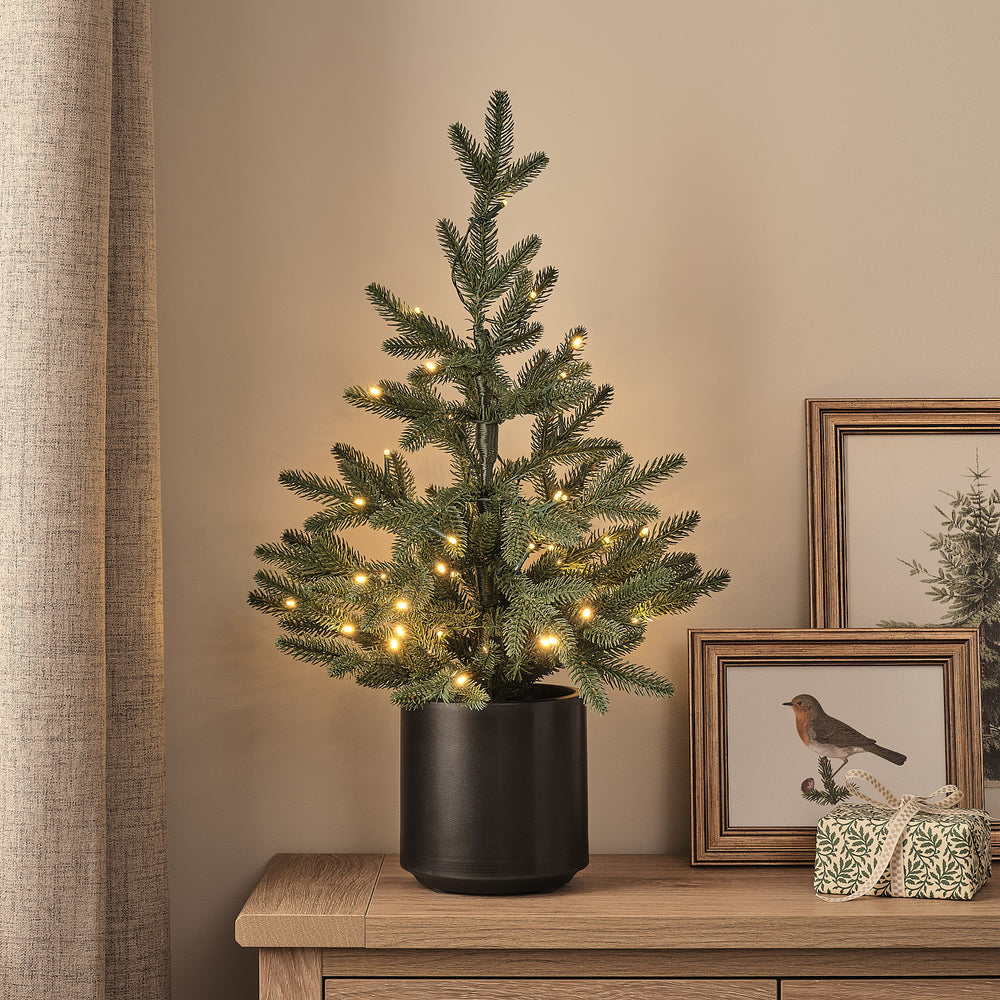 Sapin de Noël Pré-éclairé en Pot de 60 cm, Style Épicéa de Norvège