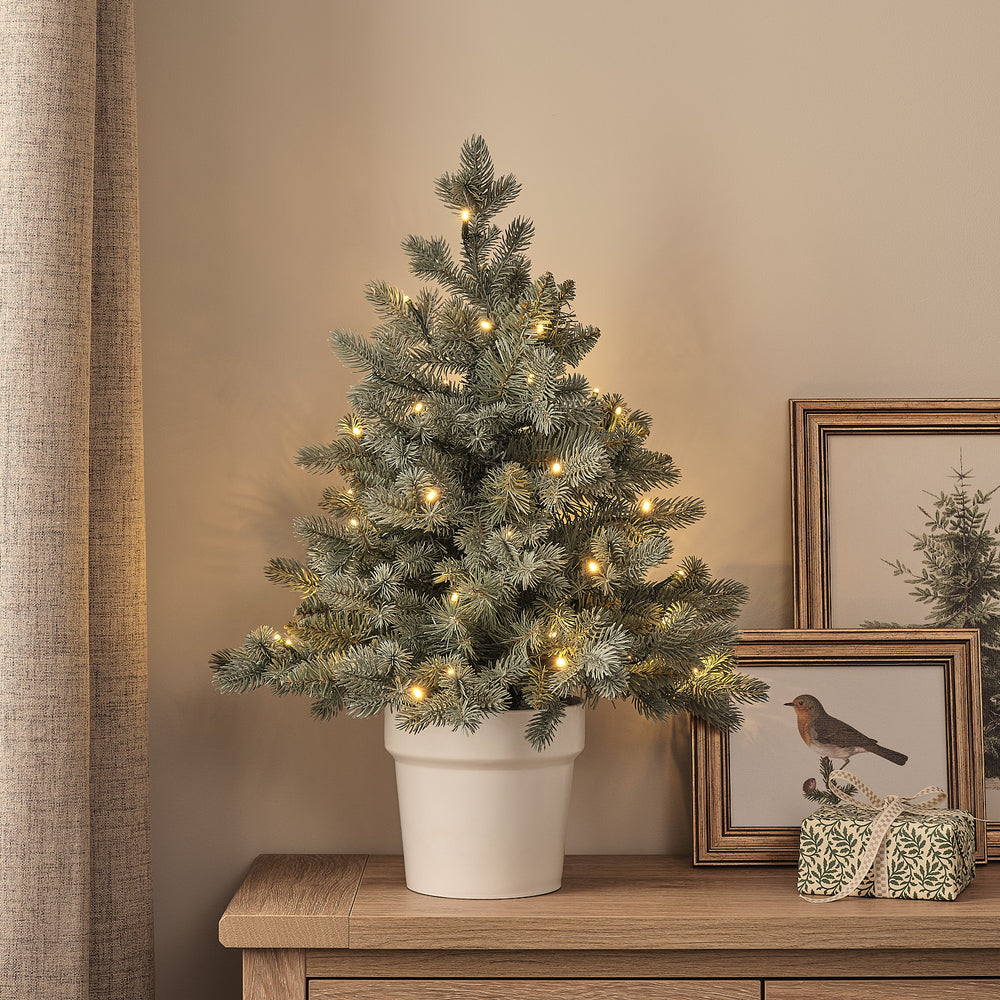 Sapin de Noël Pré-éclairé en Pot de 60 cm, Feuillage Style Douglas