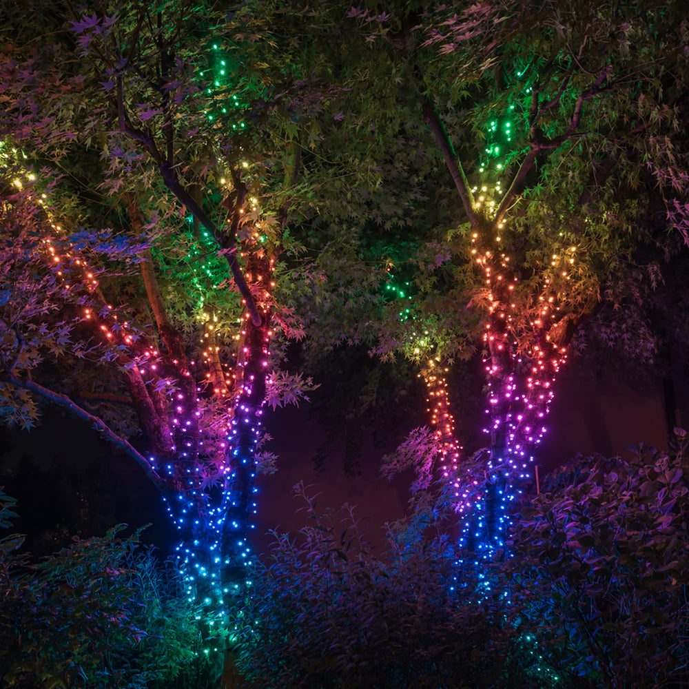 Guirlande Lumineuse Connectée Twinkly de 20 mètres avec 250 LED, Édition Multicolore & Blanc