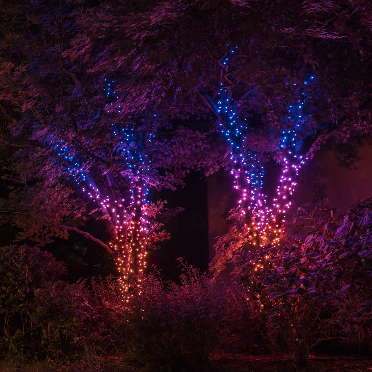 Guirlande Lumineuse Connectée Twinkly de 20 mètres avec 250 LED, Édition Multicolore & Blanc