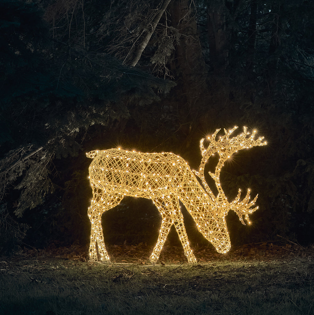 Grand Renne de Noël Arkendale LED Solaire au Pâturage de 1,1 m à 490 LED Bicolores