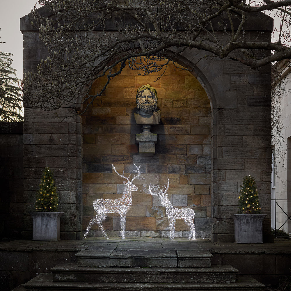 Grand Renne de Noël Lumineux Duchy à 800 LED Bicolore