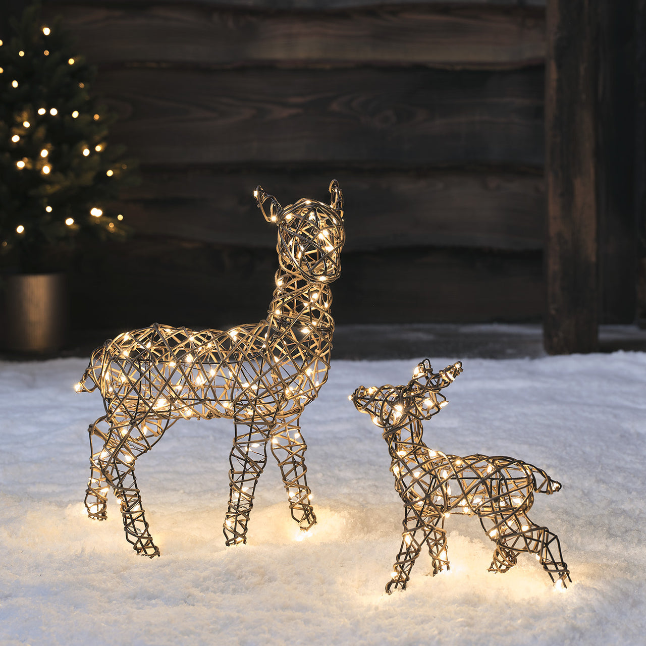 Famille de Mini Rennes Lumineux en Rotin Studley