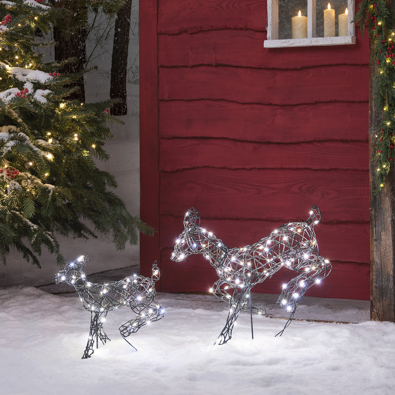 Famille Mini de Rennes Lumineux Sautants Harlow à LED Bicolore