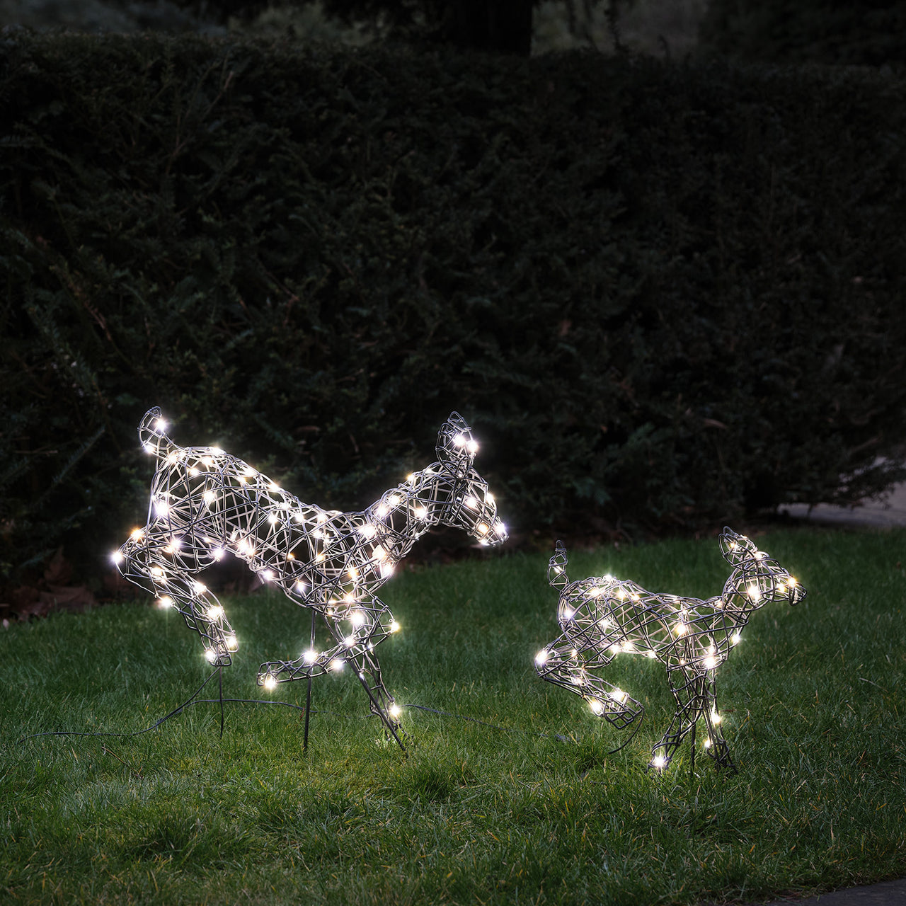 Famille Mini de Rennes Lumineux Sautants Harlow à LED Bicolore
