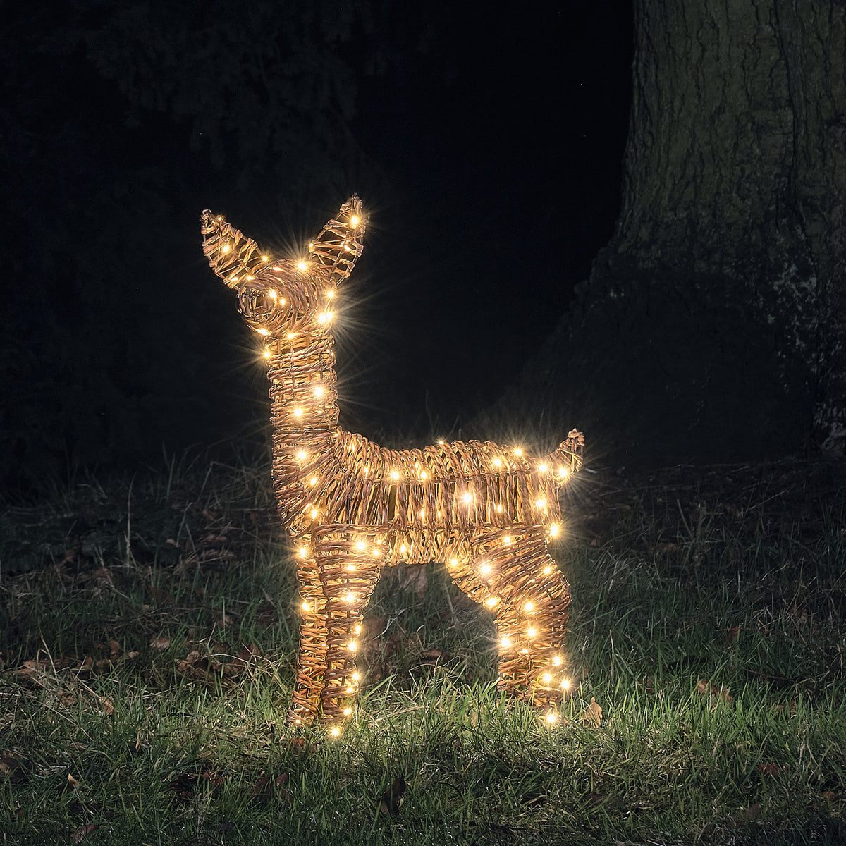 Faon Lumineux en Rotin Pateley de 62 cm à LED Bicolores
