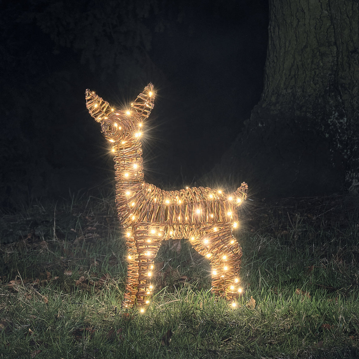 Faon Lumineux en Rotin Pateley de 62 cm à LED Bicolores