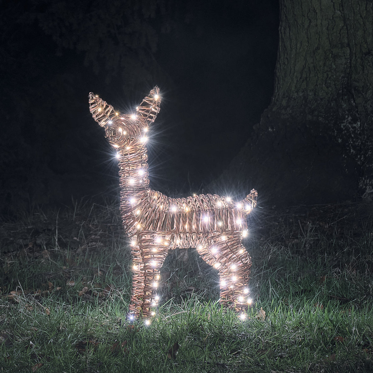 Faon Lumineux en Rotin Pateley de 62 cm à LED Bicolores