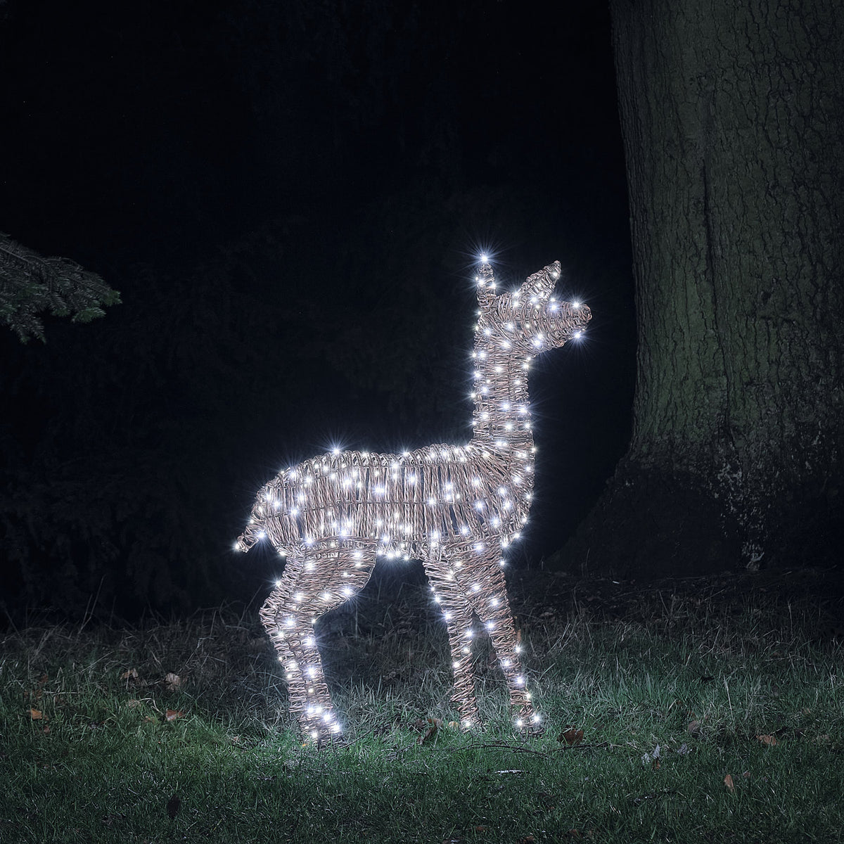 Biche Lumineuse Pateley de 110 cm en Rotin à LED Bicolores