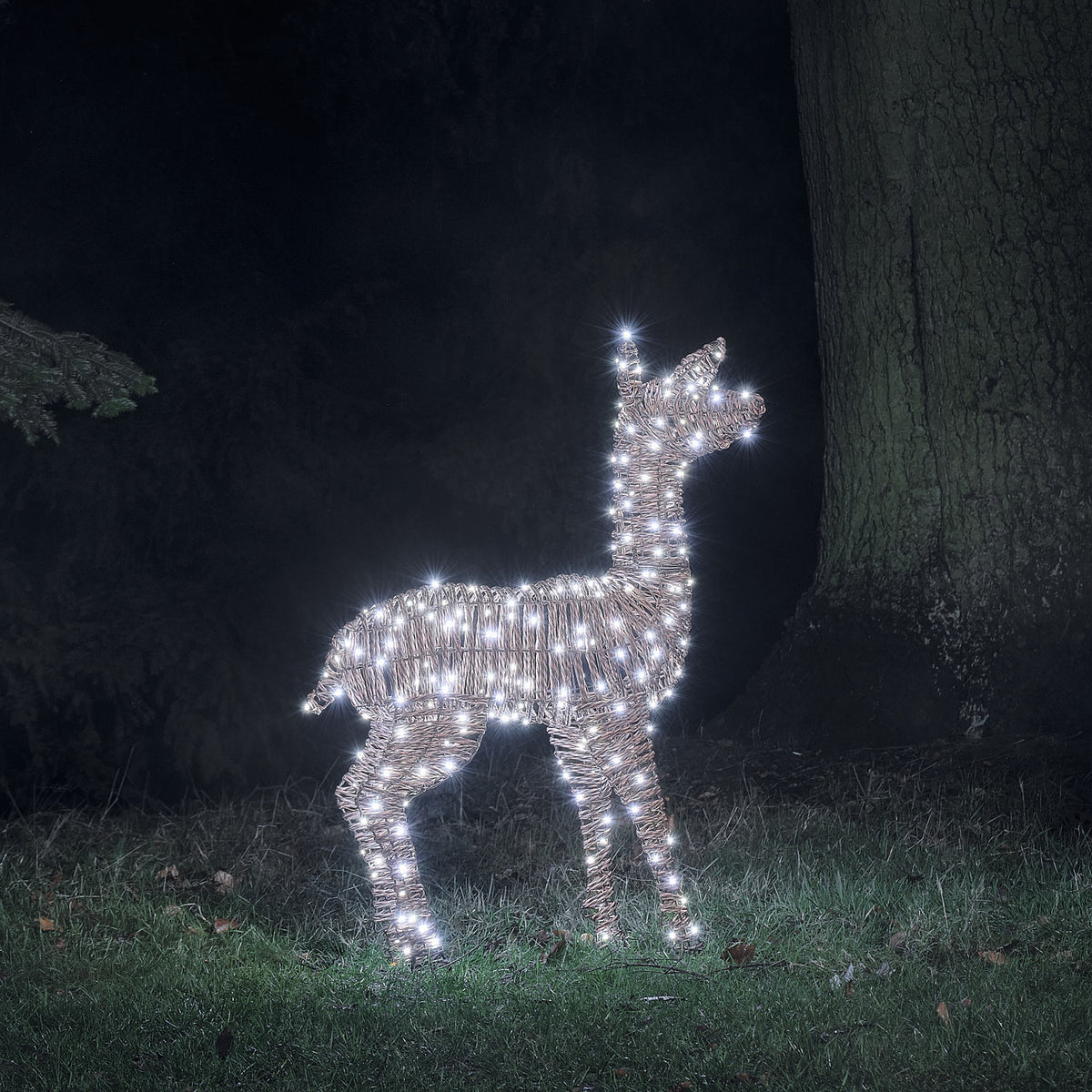 Biche Lumineuse Pateley de 110 cm en Rotin à LED Bicolores