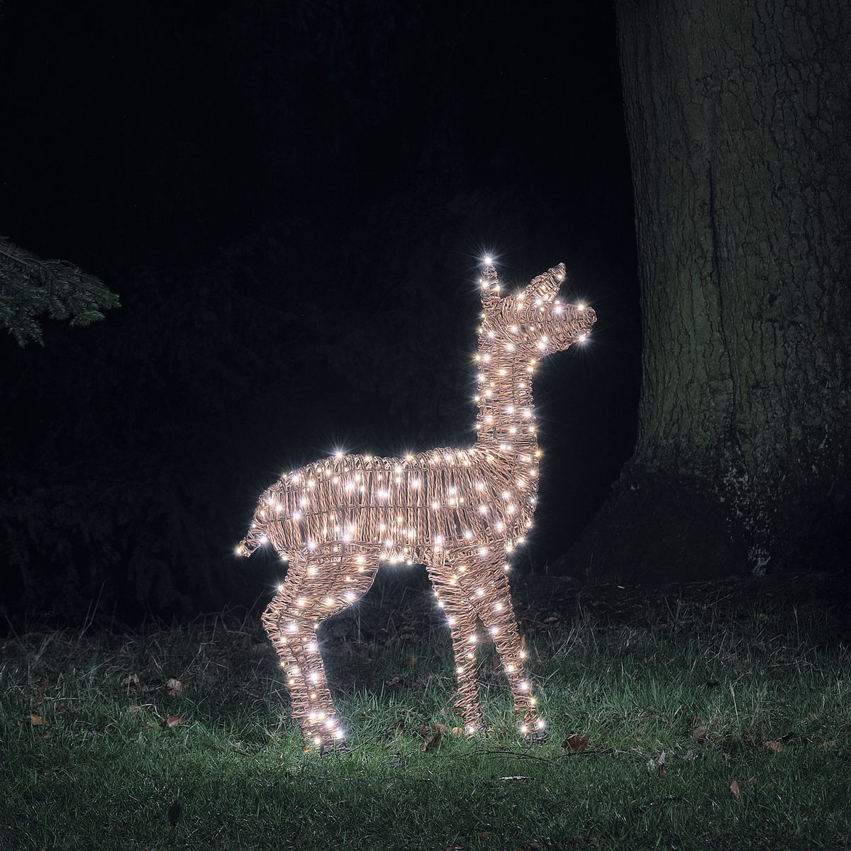 Biche Lumineuse Pateley de 110 cm en Rotin à LED Bicolores