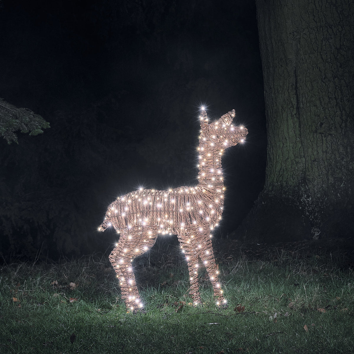 Biche Lumineuse Pateley de 110 cm en Rotin à LED Bicolores