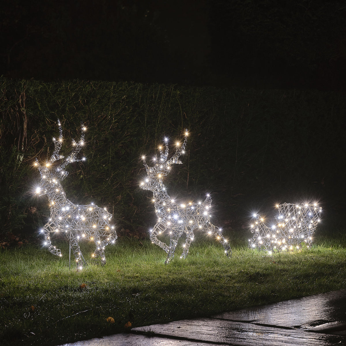 Rennes et Traîneau Lumineux Harlow de 64 cm à LED Bicolores