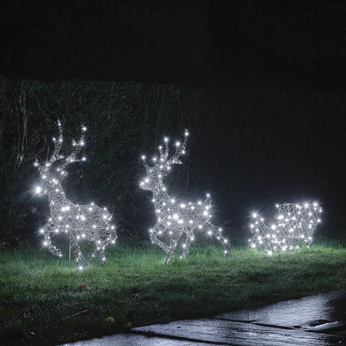 Rennes et Traîneau Lumineux Harlow de 64 cm à LED Bicolores