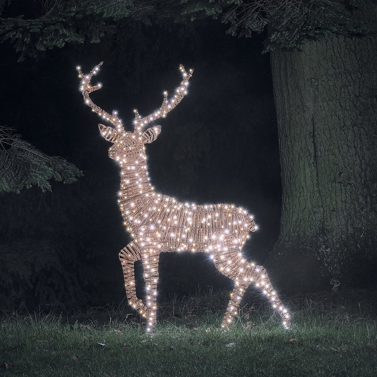 Grand Cerf Lumineux Pateley de 1,5 m en Rotin à 500 LED Bicolores