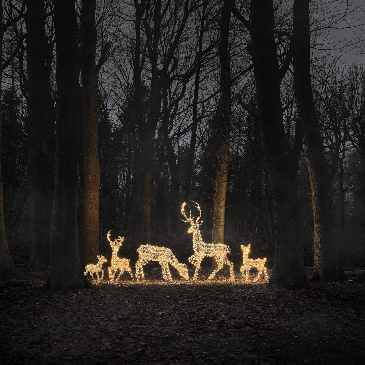 Duo Cerf et Biche Lumineux Studley à LED Bicolore