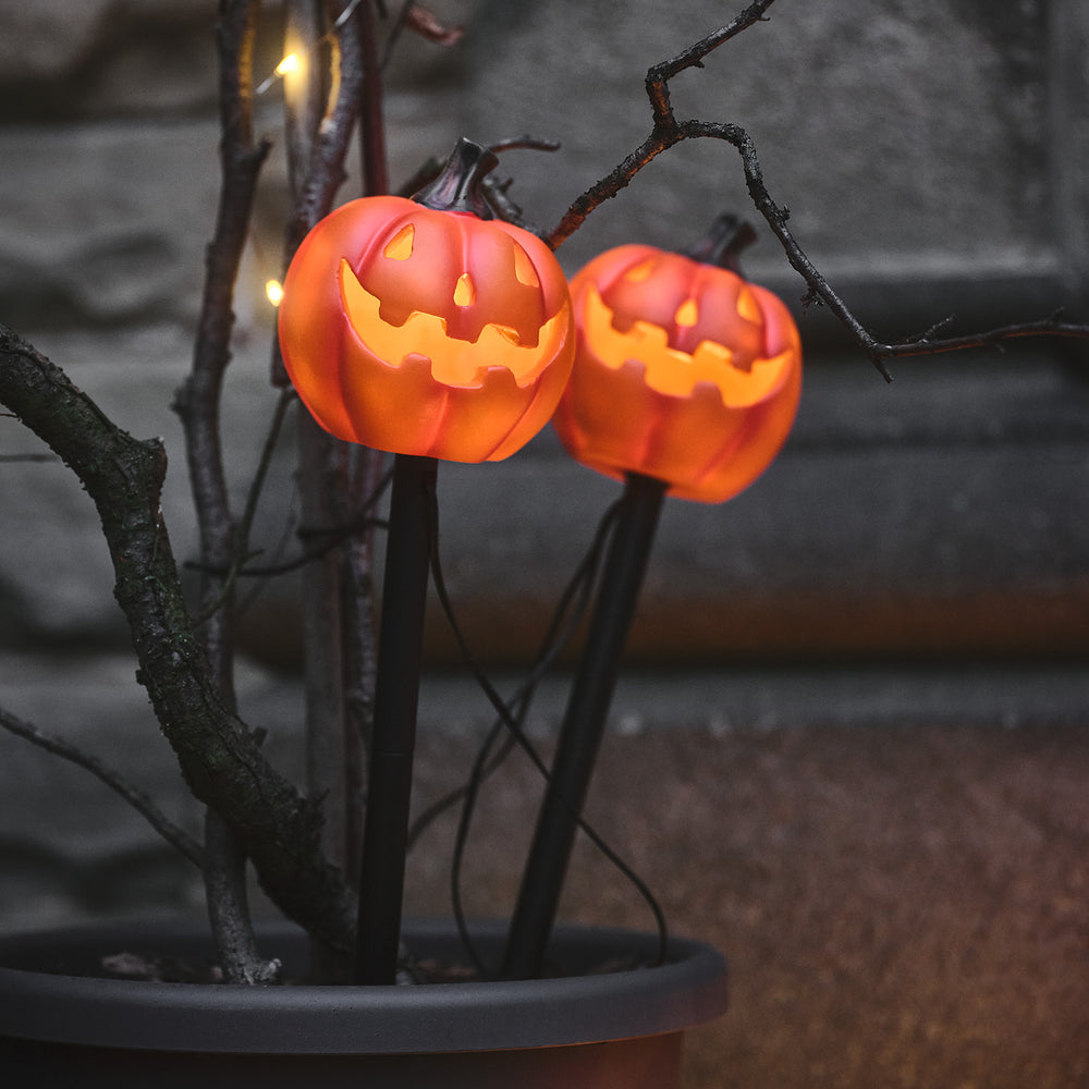 Lot de 2 Balises Lumineuses Citrouilles