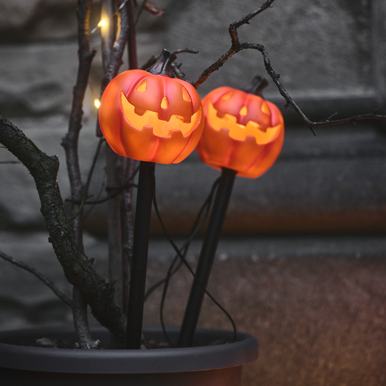 Lot de 2 Balises Lumineuses Citrouilles