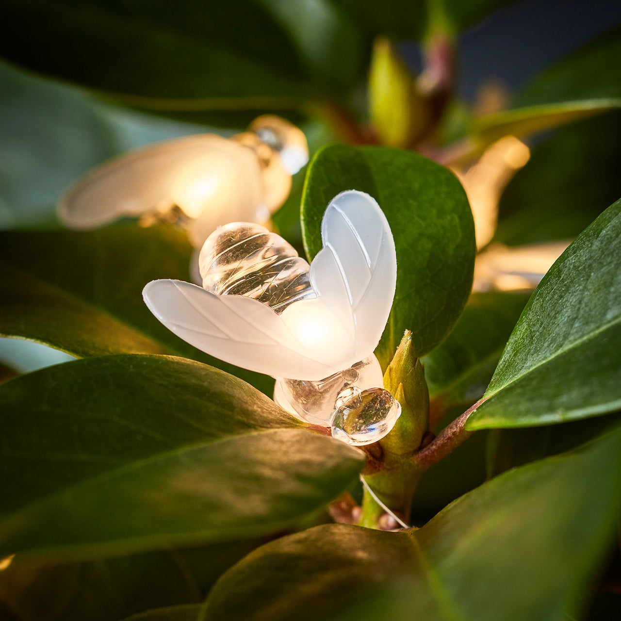 Guirlande Lumineuse 20 Abeilles à Micro LED