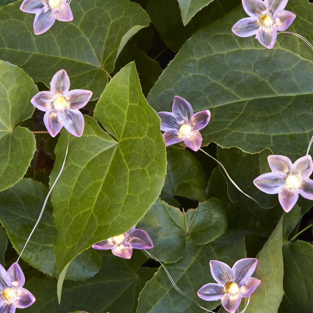 Guirlande Lumineuse 20 Fleurs à Micro LED Blanc Chaud