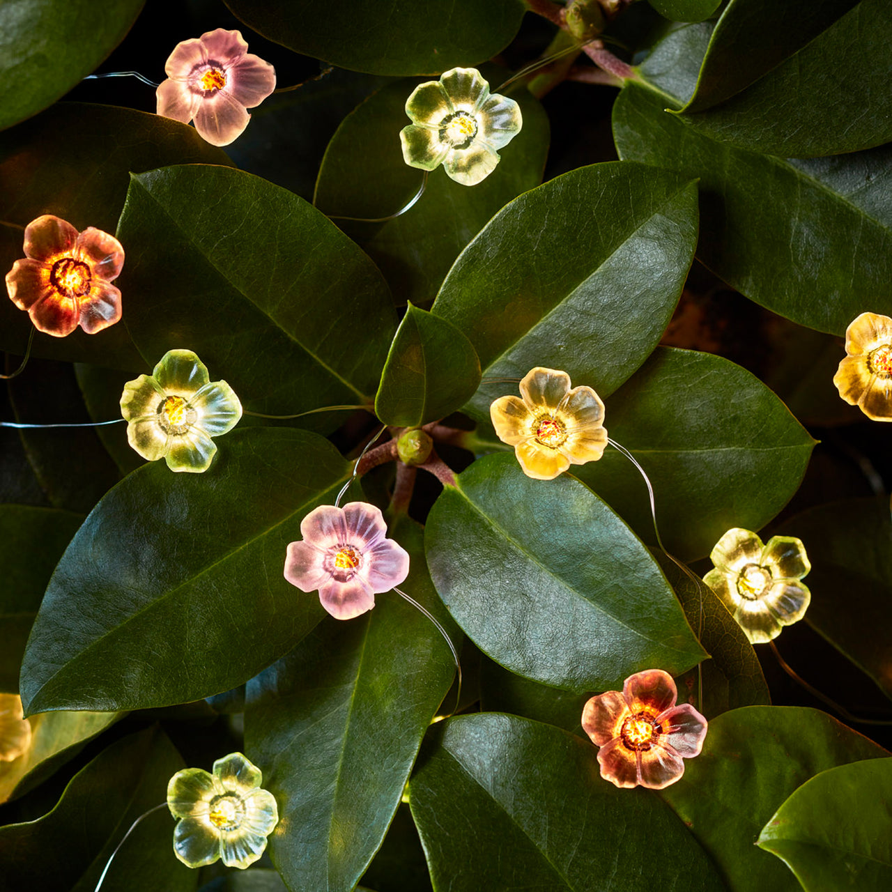 Guirlande Lumineuse 20 Fleurs Multicolores à Micro LED –