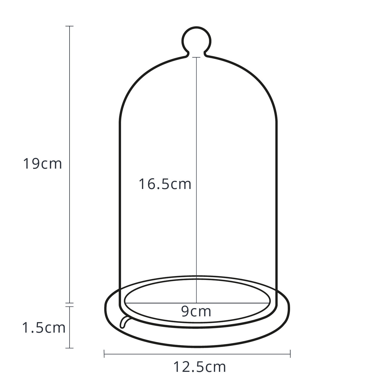 Lot Cloche en Verre et Guirlande Lumineuse