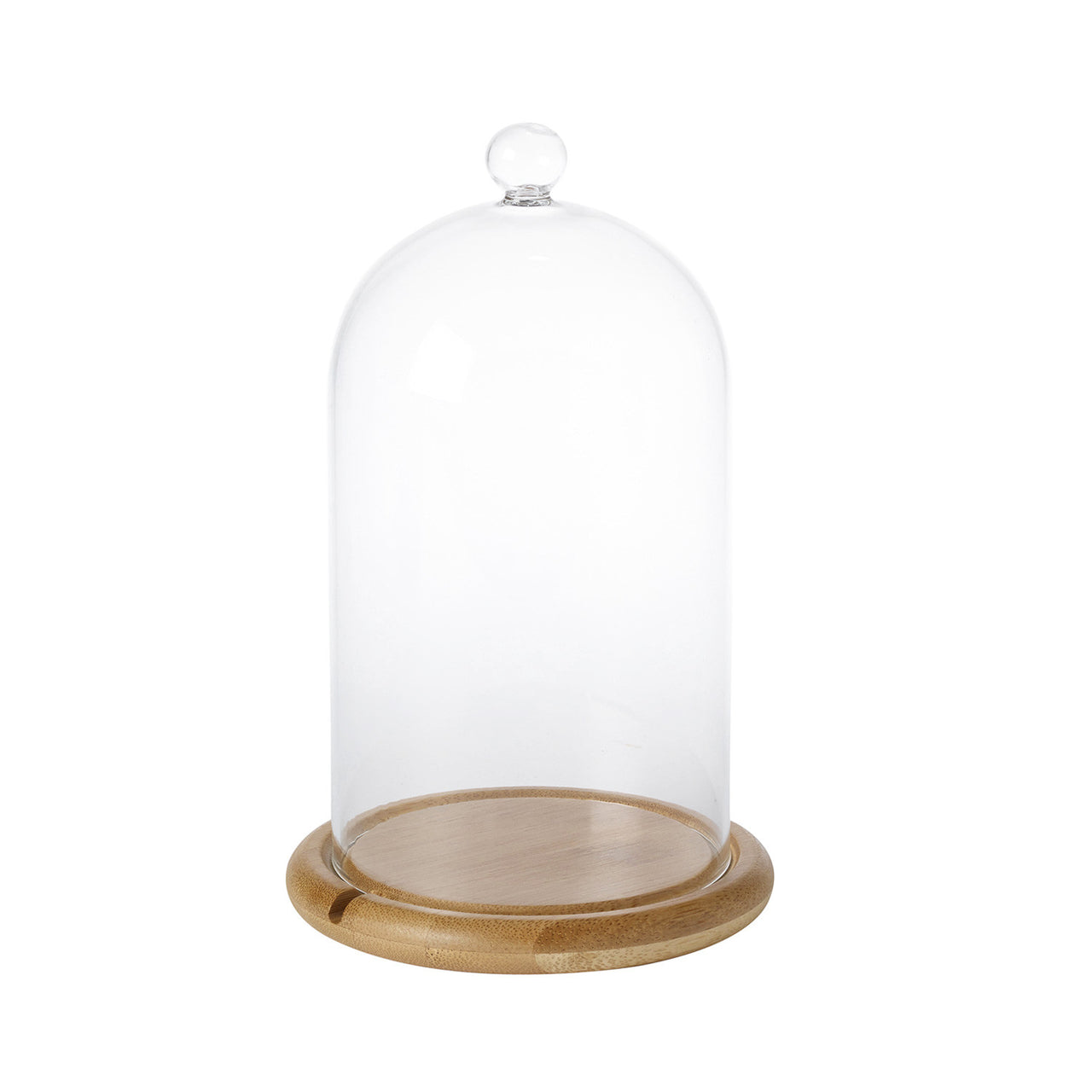 Lot Cloche en Verre et Guirlande Lumineuse