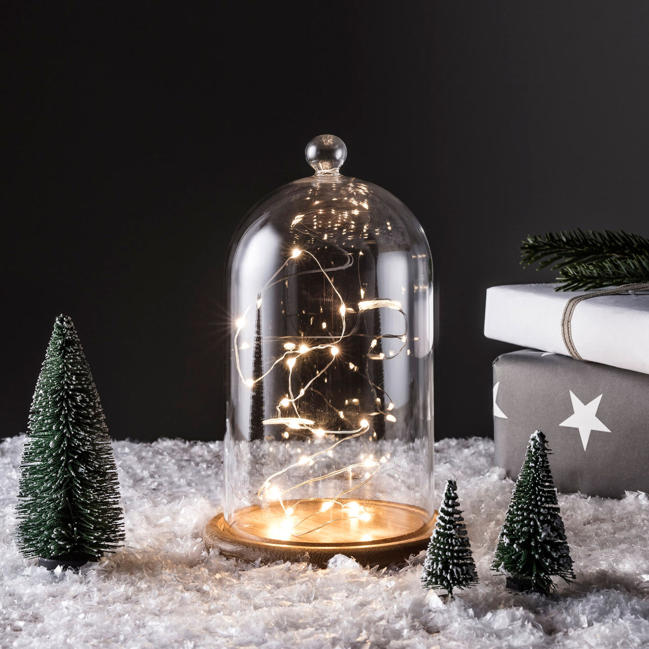 Lot Cloche en Verre et Guirlande Lumineuse