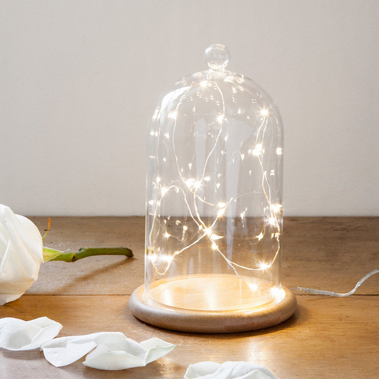 Lot Cloche en Verre et Guirlande Lumineuse