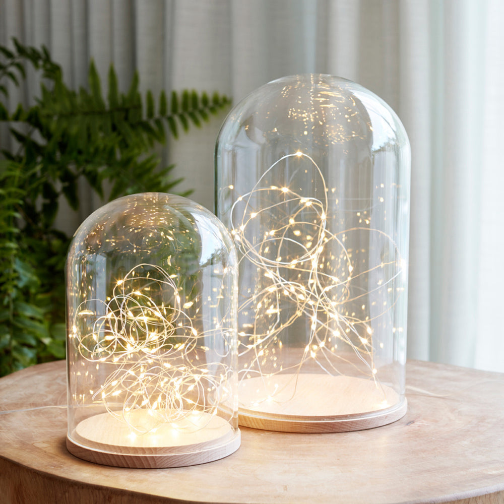 Lot de 2 Cloches en Verre Minimalistes