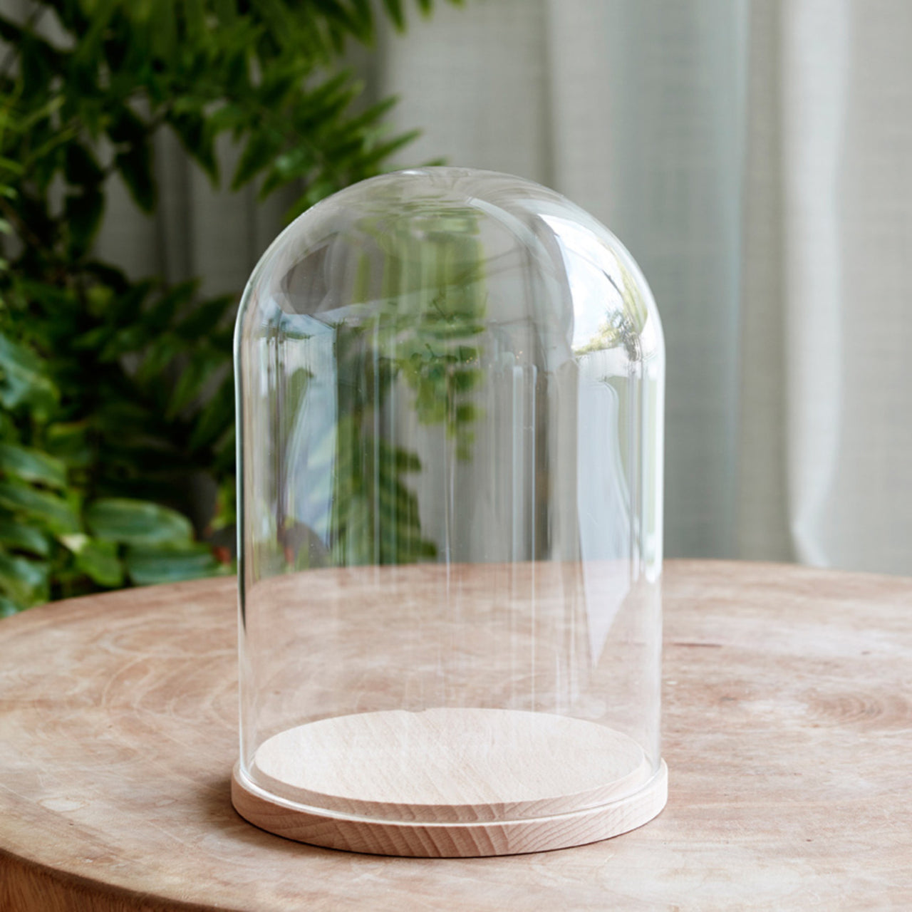 Cloche en verre et socle - Boule à neige, Cloche Cloche en verre et socle - Boule à neige, Cloche