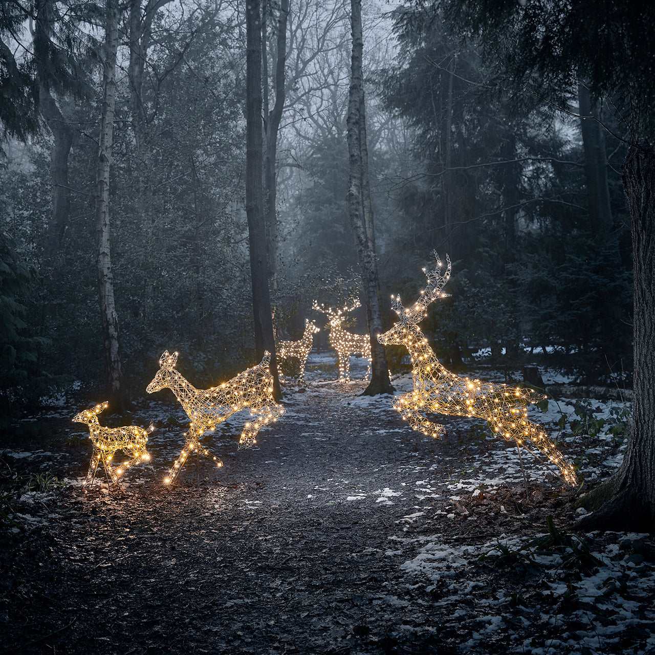 Famille de Rennes de Noël Harlow en Rotin à LED Bicolore