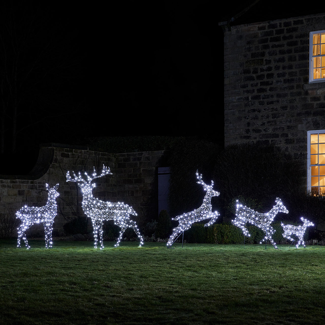 Famille de Rennes de Noël Harlow en Rotin à LED Bicolore