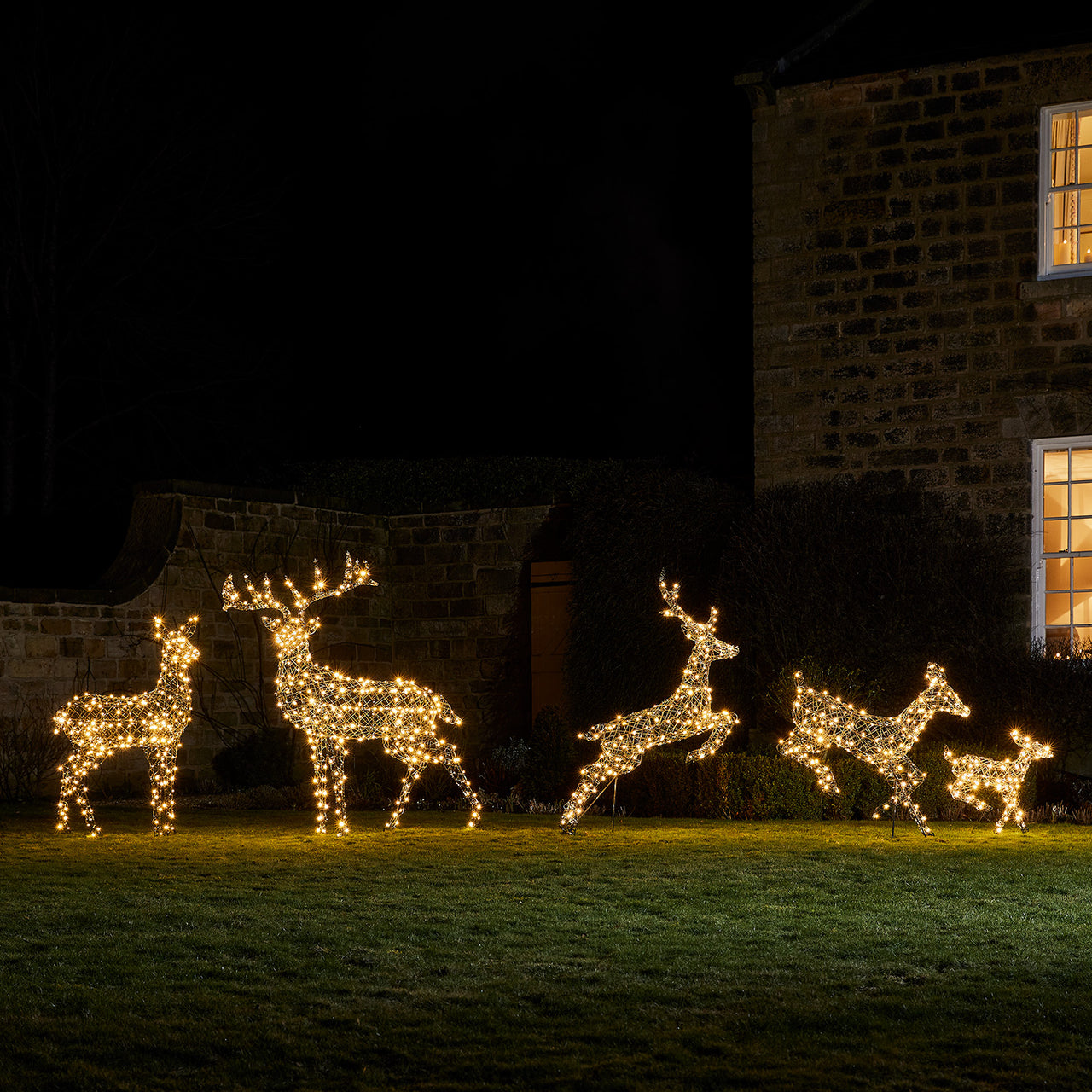Duo de Grands Rennes de Noël Harlow en Rotin à LED Bicolore