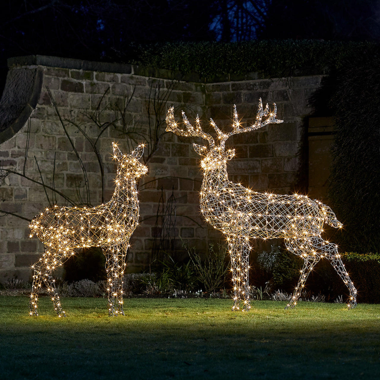 Duo de Grands Rennes de Noël Harlow en Rotin à LED Bicolore