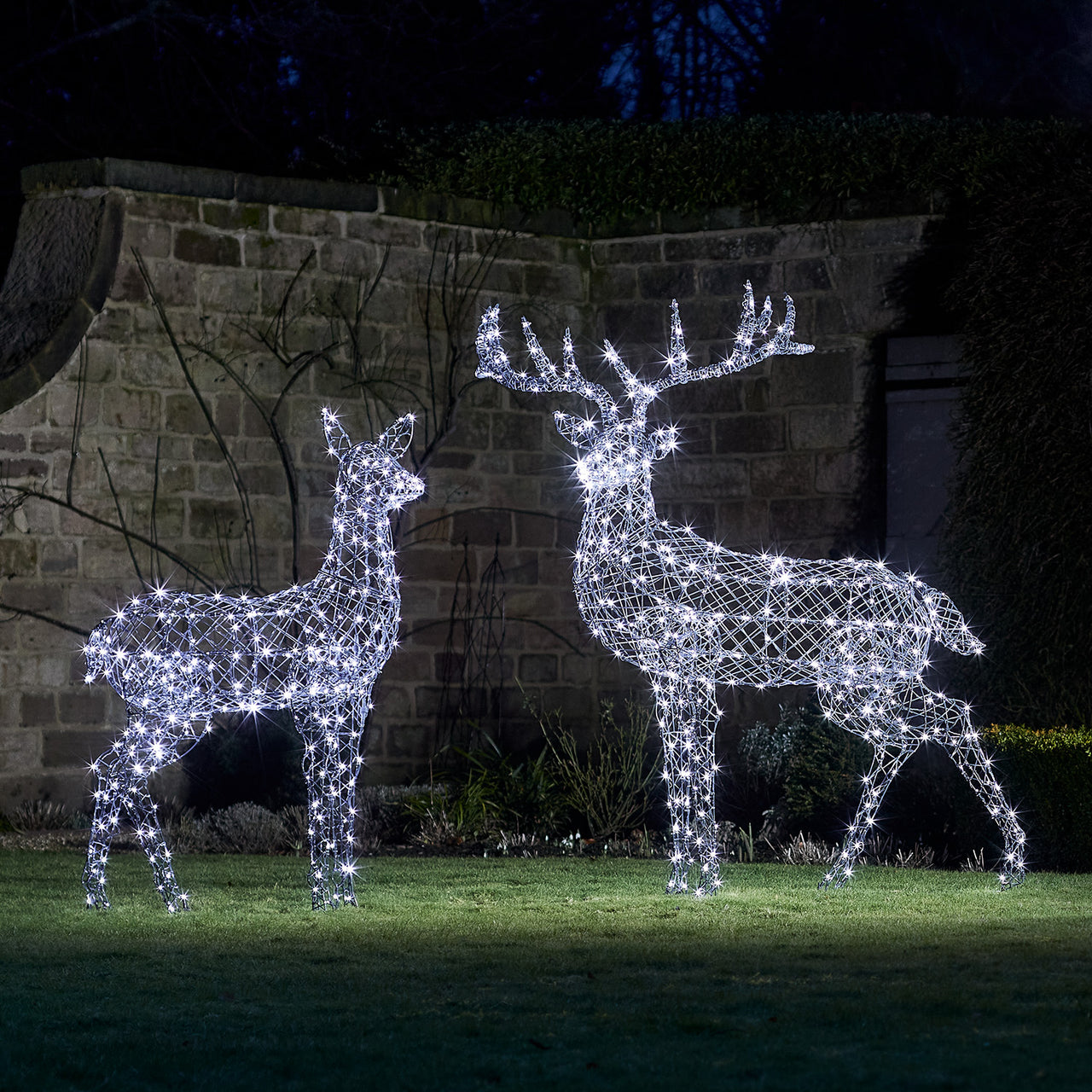 Duo de Grands Rennes de Noël Harlow en Rotin à LED Bicolore