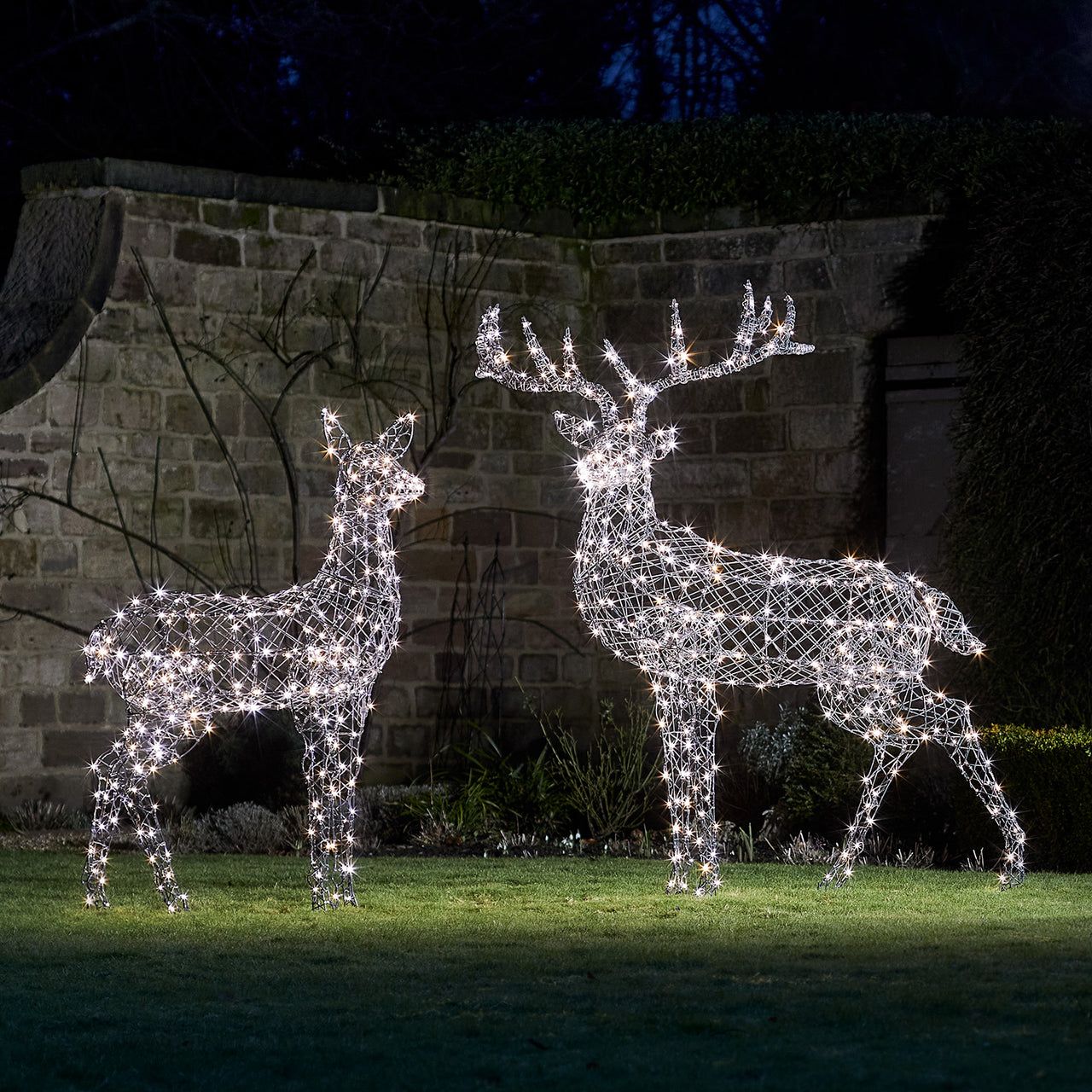 Duo de Grands Rennes de Noël Harlow en Rotin à LED Bicolore