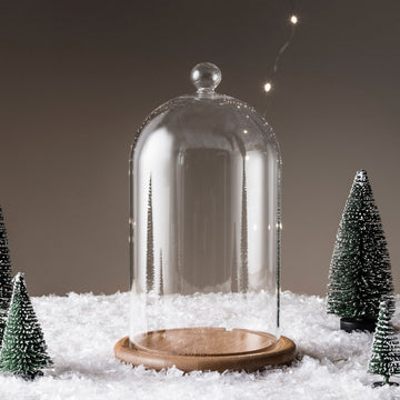 Cloche en Verre Décorative