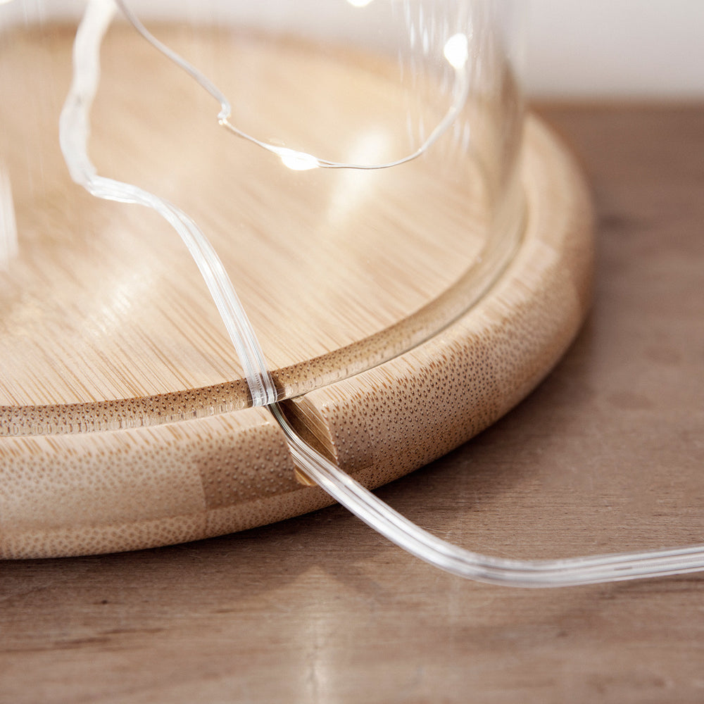 Cloche en Verre Décorative