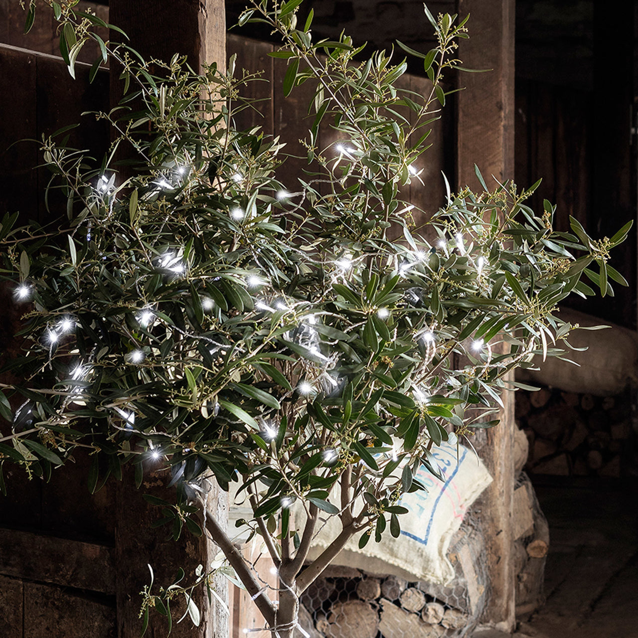 Guirlande Lumineuse à Piles 100 LED Blanches sur Câble Transparent