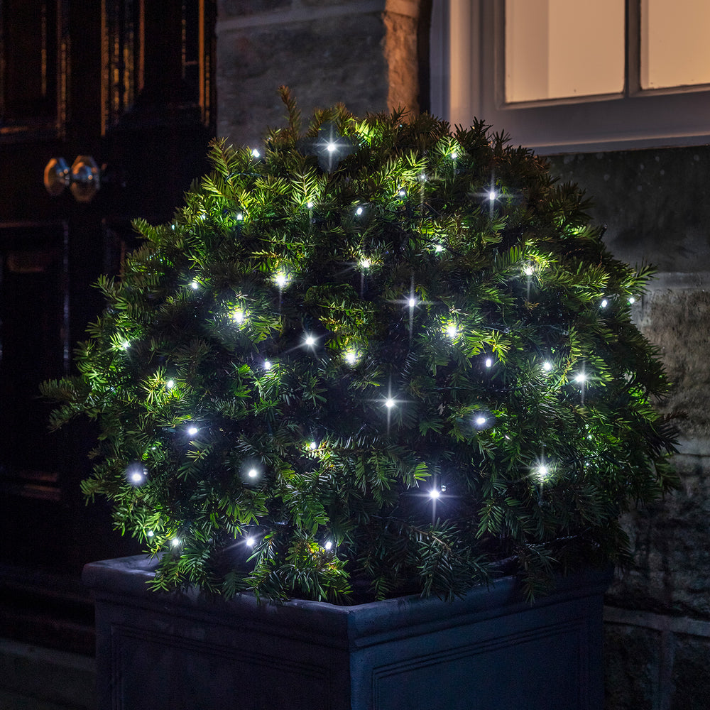 Guirlande Lumineuse à Piles 100 LED Blanches sur Câble Transparent