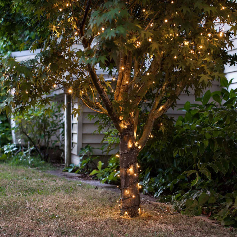 Guirlande Lumineuse à Piles 200 LED Blanc Chaud sur Câble Vert Foncé