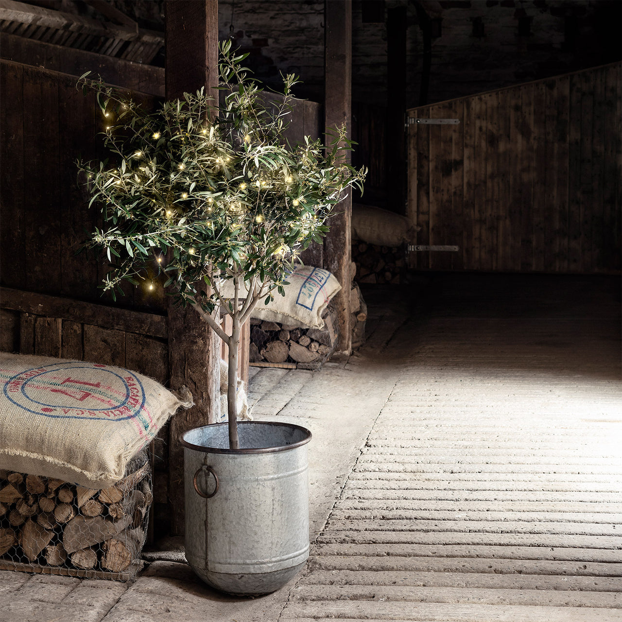 Guirlande Lumineuse à Piles 100 LED Blanc Chaud sur Câble Vert Foncé