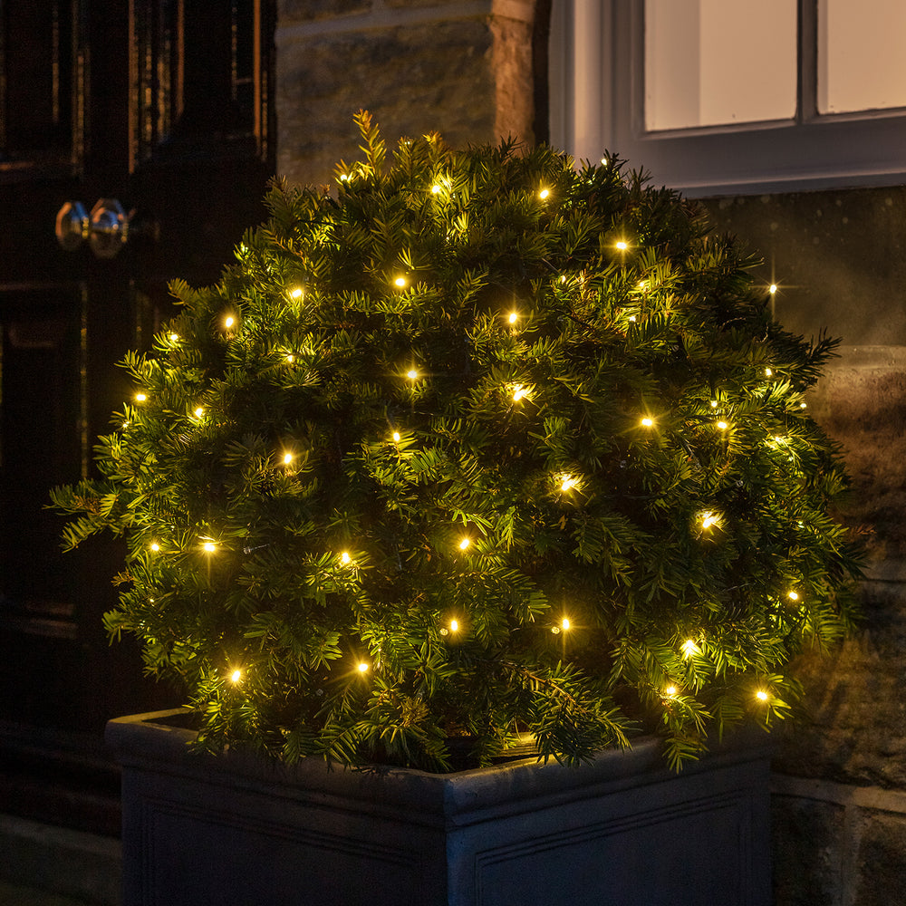 Guirlande Lumineuse à Piles 100 LED Blanc Chaud sur Câble Vert Foncé