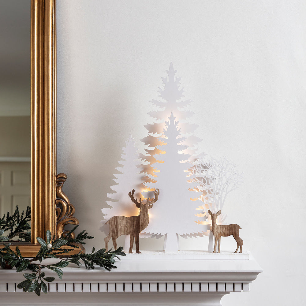 Scène Lumineuse de Noël Rennes et Forêt