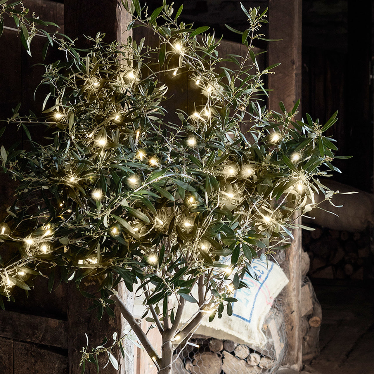 Guirlande Lumineuse à Piles 200 LED Blanc Chaud sur Câble Transparent