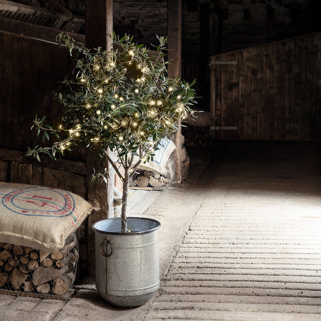 Guirlande Lumineuse à Piles 200 LED Blanc Chaud sur Câble Transparent